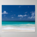 Suche nach tropischer strand poster Türkisfarbenes wasser