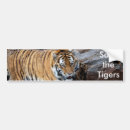 Suche nach weißer tiger autoaufkleber Erhaltung