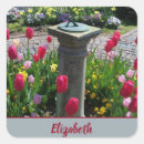 Suche nach frühlingsbaum Blume