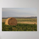 Suche nach heu poster Landwirtschaft