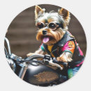 Suche nach motorrad spaß aufkleber Lustig