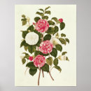 Suche nach farben auf englisch poster Lithographie