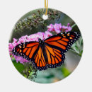 Suche nach monarch butterfly ornamente Insekten