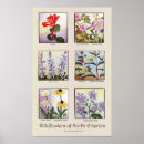 Suche nach watercolor flower poster Flowers