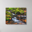 Suche nach creek leinwandbilder Chuck haney