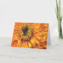 Suche nach ringelblume postkarten Tag der toten