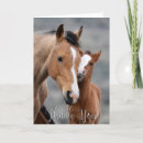 Suche nach stute und fohlen karten Für sie