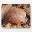 Suche nach glatte mousepads Maus