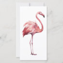 Suche nach rosa flamingo kleine grußkarten Vogel