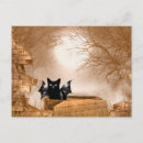 Suche nach sarg postkarten Katze