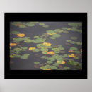Suche nach wasserlilien poster Natur