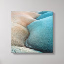 Suche nach riff leinwandbilder Hauptstadt riff nationalpark