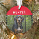 Suche nach coonhound ornamente Hunde