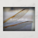 Suche nach wings postkarten Natur