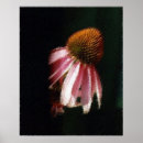 Suche nach echinacea poster Jede person