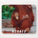 Suche nach orang utan mousepads Borneo