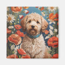 Suche nach labradoodle magnete Labradoodell