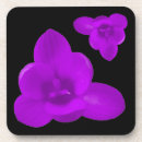 Suche nach crocus untersetzer Krokodile