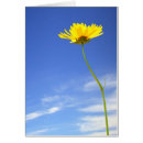 Suche nach gelber himmel Jede person