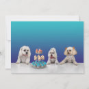 Suche nach rettungshund andere postkarten Adoption