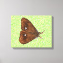 Suche nach motts poster leinwandbilder Tierwelt