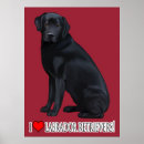Suche nach schwarzer labrador retriever poster Haustiere