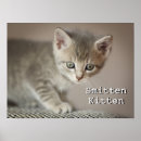 Suche nach hauskatzen poster Ein tier