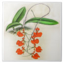 Suche nach orchid fliesen Natur