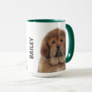 Suche nach mastiff tassen Haustiere