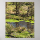 Suche nach walden teich poster Natur