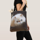 Suche nach kasten taschen Kätzchen