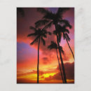Suche nach tropical islands postkarten Beach