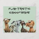 Suche nach groomer flyer Heimtierer