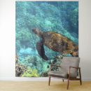 Suche nach schildkröten kunst Wasser