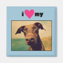 Suche nach ohren magnete Hund