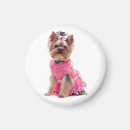 Suche nach yorkshire terrier magnete Hund