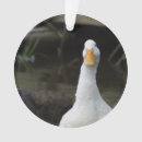 Suche nach weiße ente ornamente Enten
