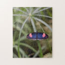 Suche nach natur puzzle Schmetterling