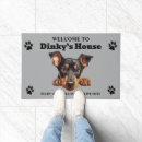 Suche nach pinscher Niedlich