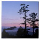 Suche nach baum silhouette fliesen Strand