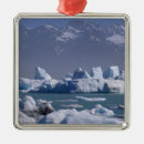 Suche nach eisberg ornamente Gefroren