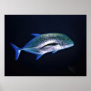 Suche nach thun poster Fisch
