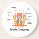 Suche nach zahn untersetzer Jede person