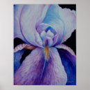 Suche nach lila iris poster Botanisch