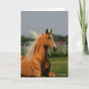 Suche nach pferdeschlitten karten Tier