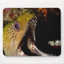 Suche nach tierköpfe mousepads Von nahem