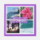 Suche nach oahu magnete Palmen