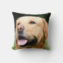 Suche nach retriever kissen Goldener labrador