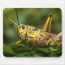 Suche nach heuschrecke mousepads Käfer