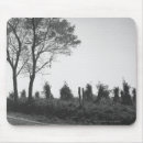 Suche nach schotterweg Baum